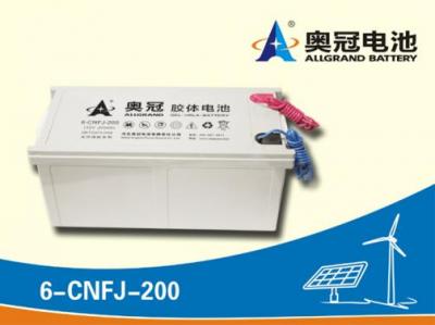奥冠蓄电池6-CNFJ-200